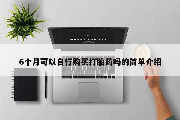 私人医生提不提供打胎药6个月可以自行购买打胎药吗的简单介绍